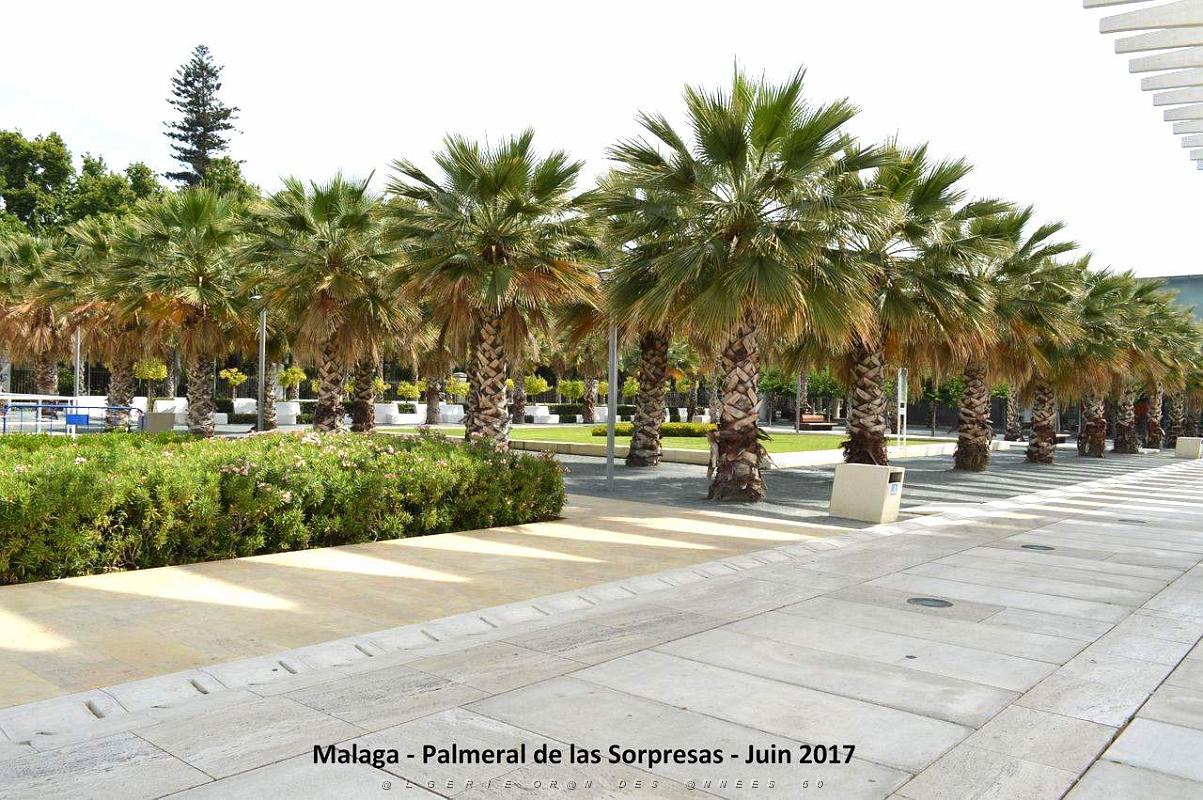 118- Malaga Palmeral Sorpresas.JPG